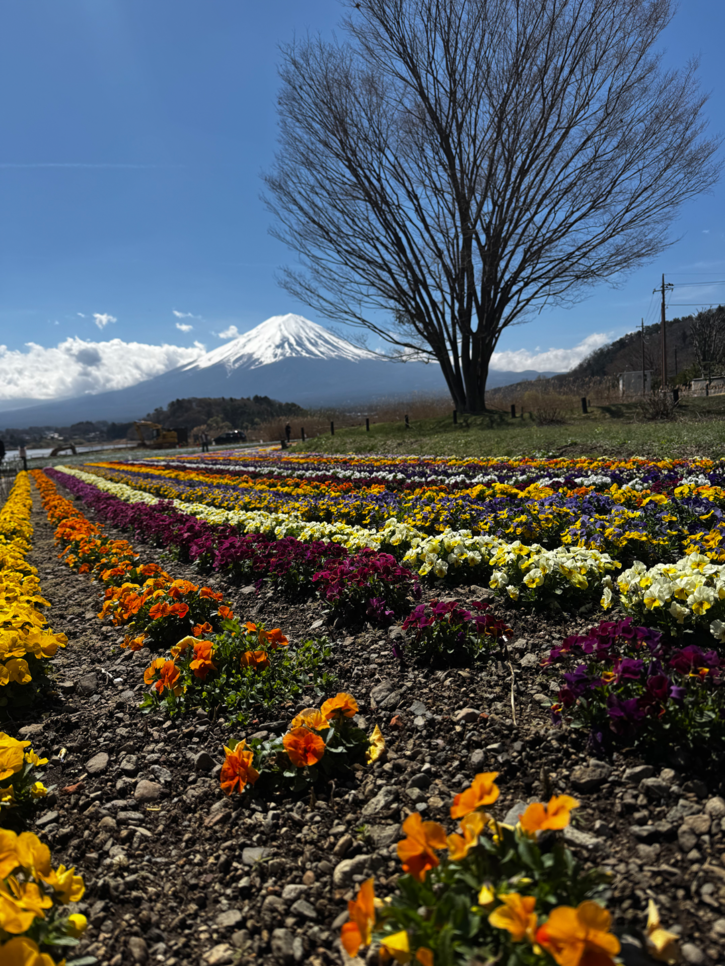 Oishi Park