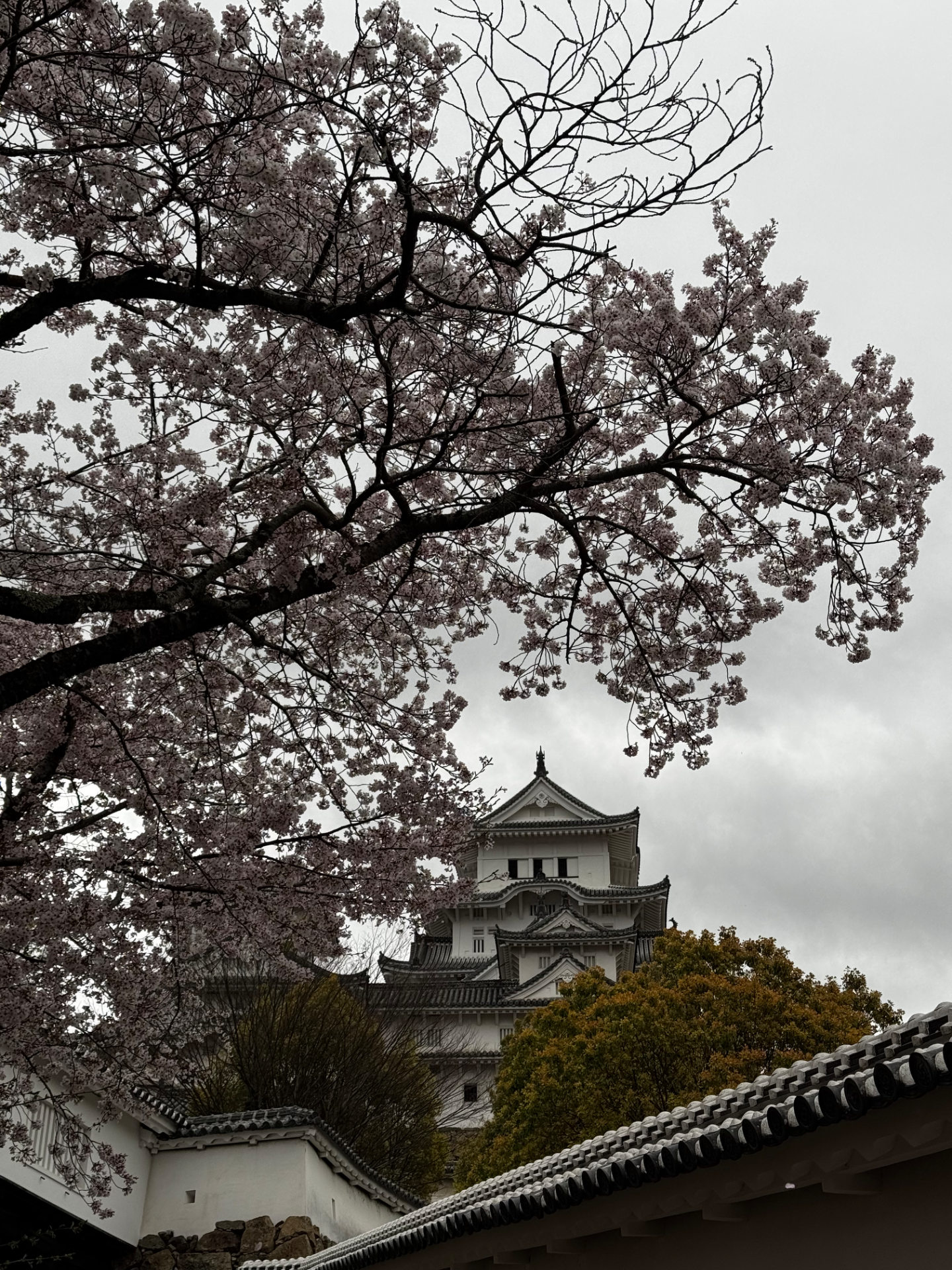 Hrad Himeji