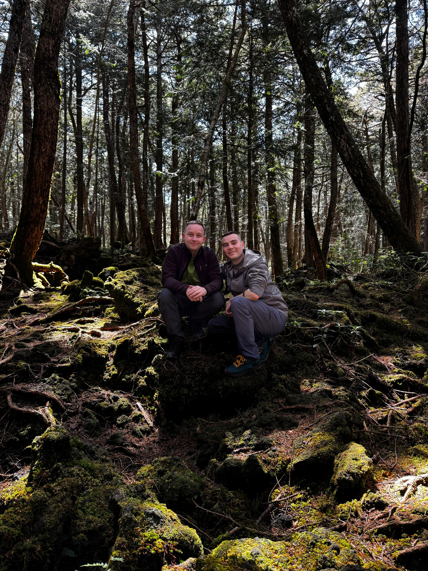 Dva muži klečí v mechu a mezi vysokými stromy v lesním porostu Aokigahara forestu alias Les sebevrahů v Japonsku, sluneční světlo.